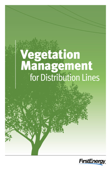Vegetation Management For Distribution Lines