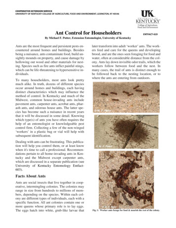 Ant Control For Householders - Entomology