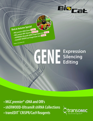 Expression Silencing Editing - BioCat