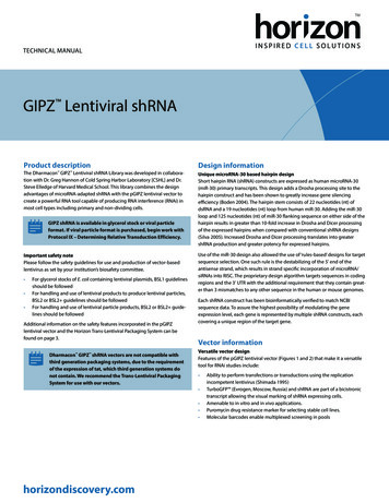GIPZ Lentiviral ShRNA - Horizon Discovery
