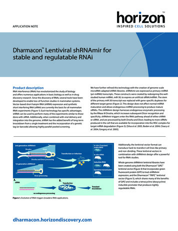 Dharmacon Entiviral ShRNAmir For Stable And Regulatable RNAi
