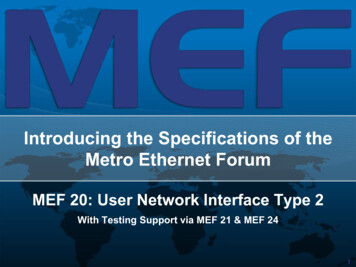 An Overview Of The MEF