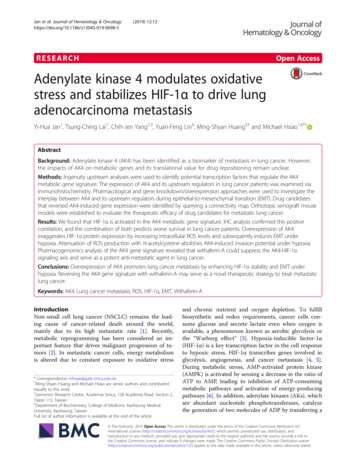 Adenylate Kinase 4 Modulates Oxidative Stress And .