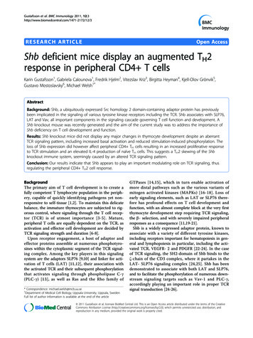 Shb Deficient Mice Display An Augmented TH2 Response In .