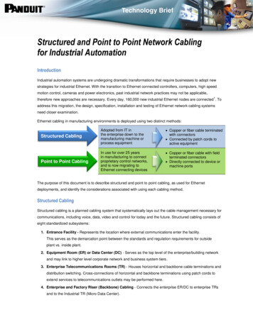 Structured And Point To Point Network Cabling For .