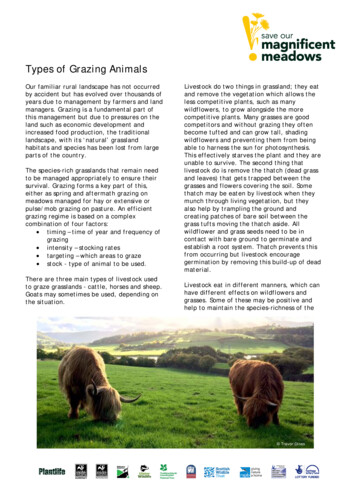Types Of Grazing Animals - Magnificent Meadows