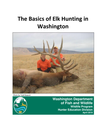 The Basics Of Elk Hunting In Washington