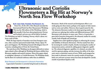 EUROPE Ultrasonic And Coriolis Flowmeters A Big Hit At .