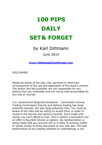 100 PIPS DAILY SET& FORGET