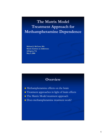 The Matrix Model Treatment Approach For 