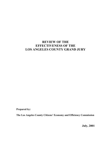 REVIEW OF THE EFFECTIVENESS OF THE LOS ANGELES 