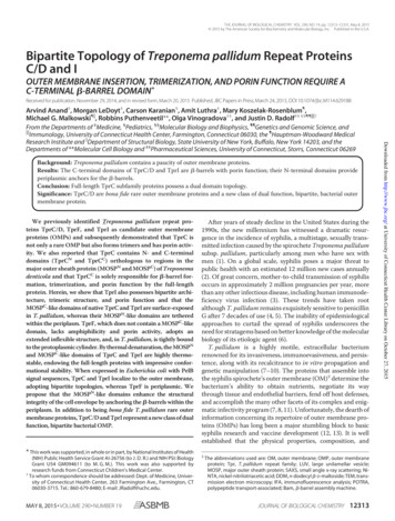 BipartiteTopologyof Treponemapallidum RepeatProteins