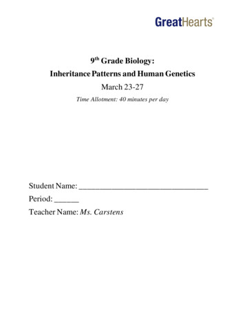 9th Grade Biology: Inheritance Patterns And Human Genetics