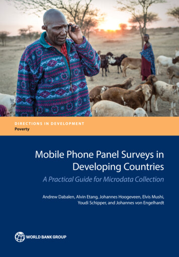 Mobile Phone Panel Surveys In Developing Countries