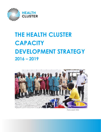 THE HEALTH CLUSTER CAPACITY DEVELOPMENT STRATEGY