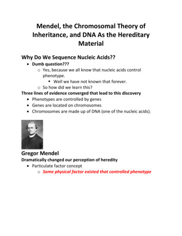 Mendel, The Chromosomal Theory Of Inheritance, And DNA 