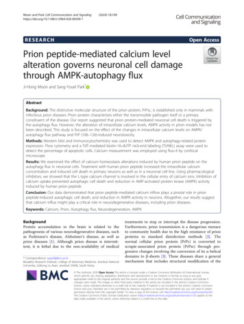 Prion Peptide-mediated Calcium Level Alteration Governs .