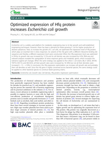 Optimized Expression Of Hfq Protein Increases Escherichia .
