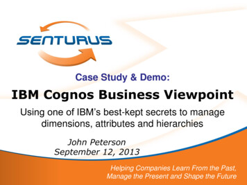 IBM Cognos Business Viewpoint - Senturus
