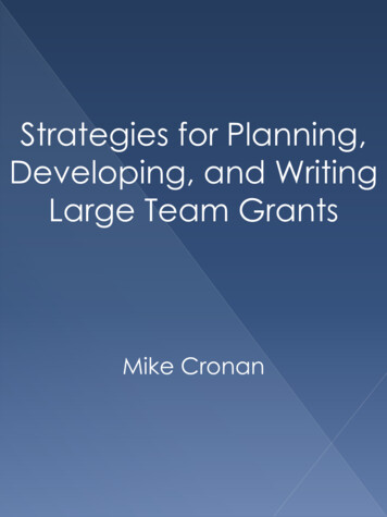 Strategies For Planning Developing And Writing Large 