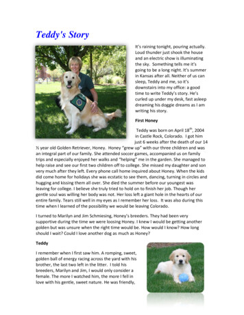 Teddy's Story - Denver Pet Partners
