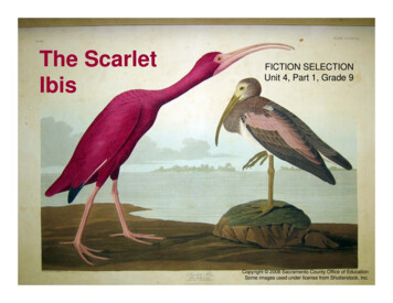 The Scarlet Ibis - Home - Social Circle City Schools