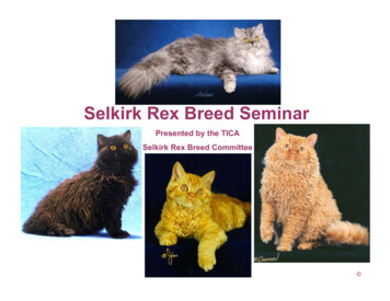 Selkirk Rex Breed Seminar