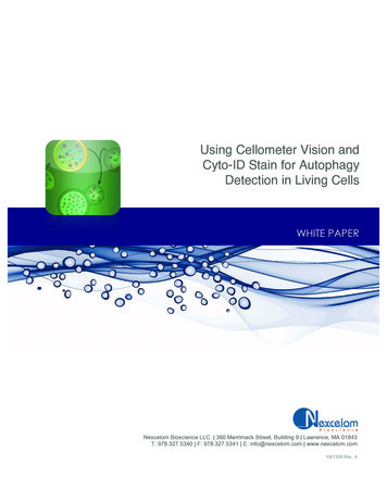 Using Cellometer Vision And Cyto-ID Stain For Autophagy Detection In .