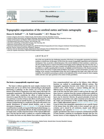 Topographic Organization Of The Cerebral Cortex And Brain .