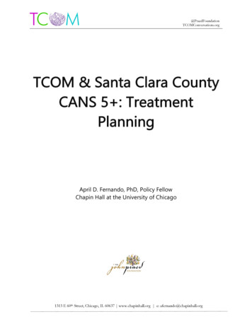 TCOM & Santa Clara County CANS 5 : Treatment Planning