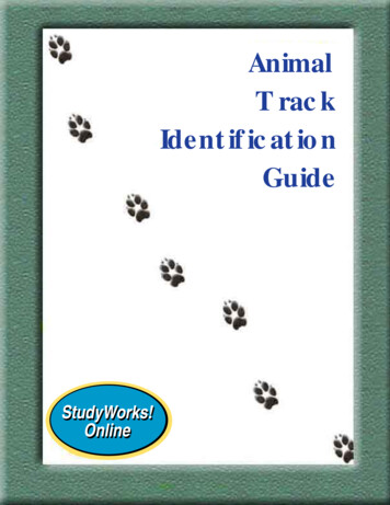 Animal Track Identification Guide