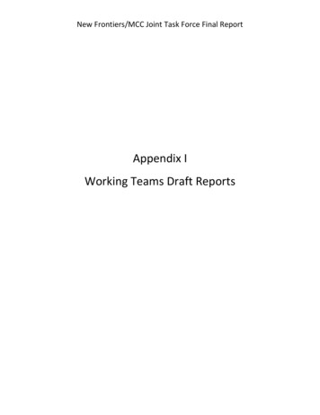 Appendix I Working Teams Draft Reports