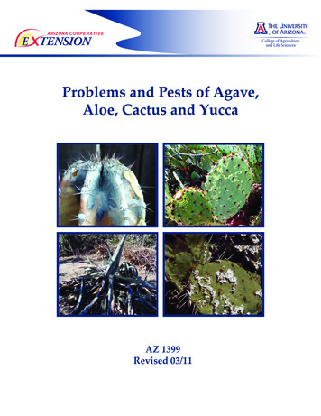 Problems And Pests Of Agave, Aloe, Cactus And Yucca