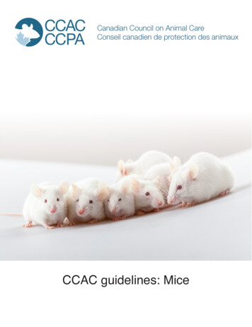 CCAC Guidelines: Mice