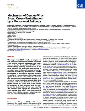 Mechanism Of Dengue Virus Broad Cross-Neutralization By A .