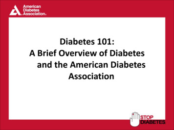 Diabetes 101: A Brief Overview Of Diabetes And The .