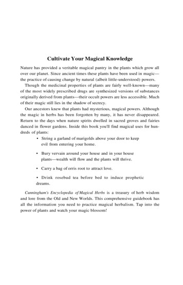 Cultivate Your Magical Knowledge - Free Website Builder .