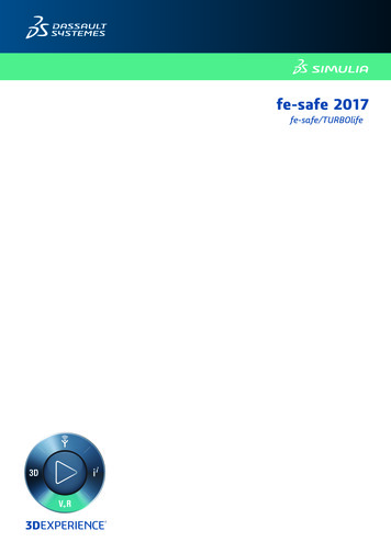 Fe-safe 2017