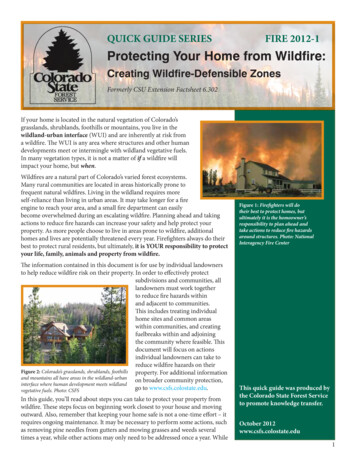 Protecting Your Home From Wildfire