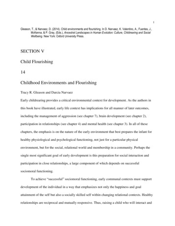 SECTION V 14 Childhood Environments And Flourishing