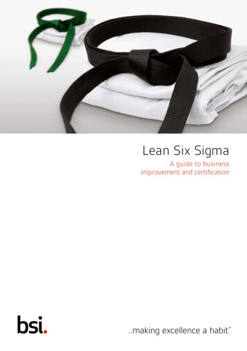 Lean Six Sigma - BSI Group