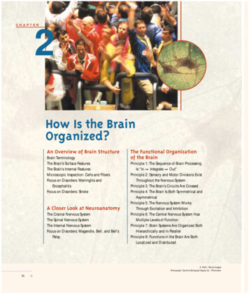 How Is The Brain Organized? - NDSU