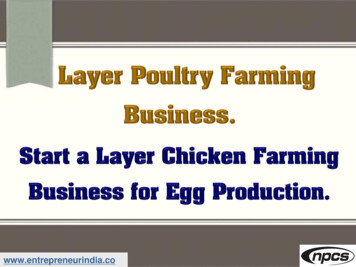 Layer Poultry Farming Business. Start A Layer Chicken .