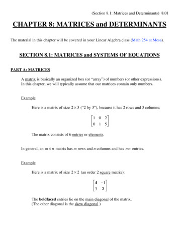 CHAPTER 8: MATRICES And DETERMINANTS