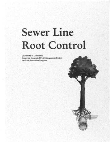 Sewer Line Root Control Study Guide - California