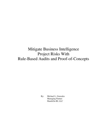 Mitigate Business Intelligence Project Risks With Rule-Based Audits And .