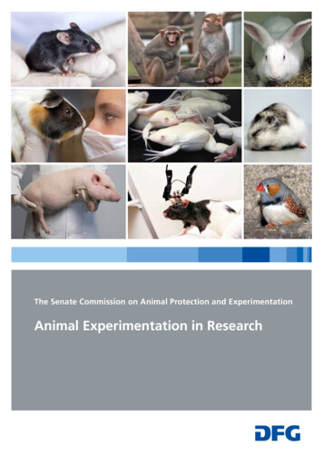 Animal Experimentation In Research