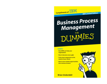 Business Process Management For Dummies, IBM Limited 