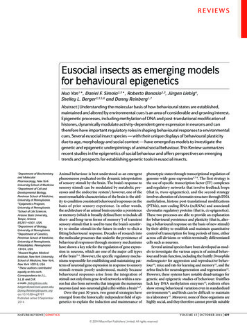 Eusocial Insects As Emerging Models For Behavioural . - Reed College