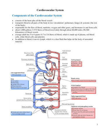 Cardiovascular System Components Of The Cardiovascular 